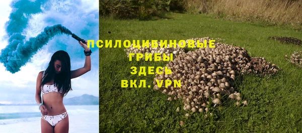 стафф Арсеньев