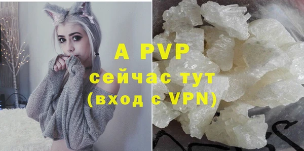 стафф Арсеньев