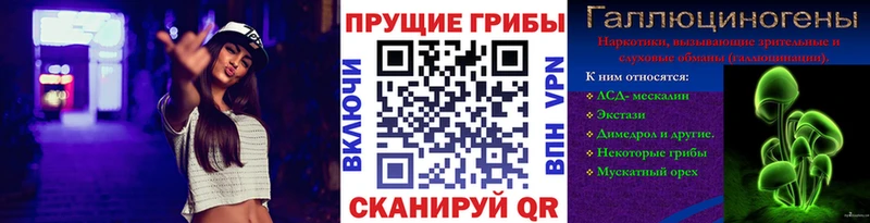 Псилоцибиновые грибы мицелий  Фокино 